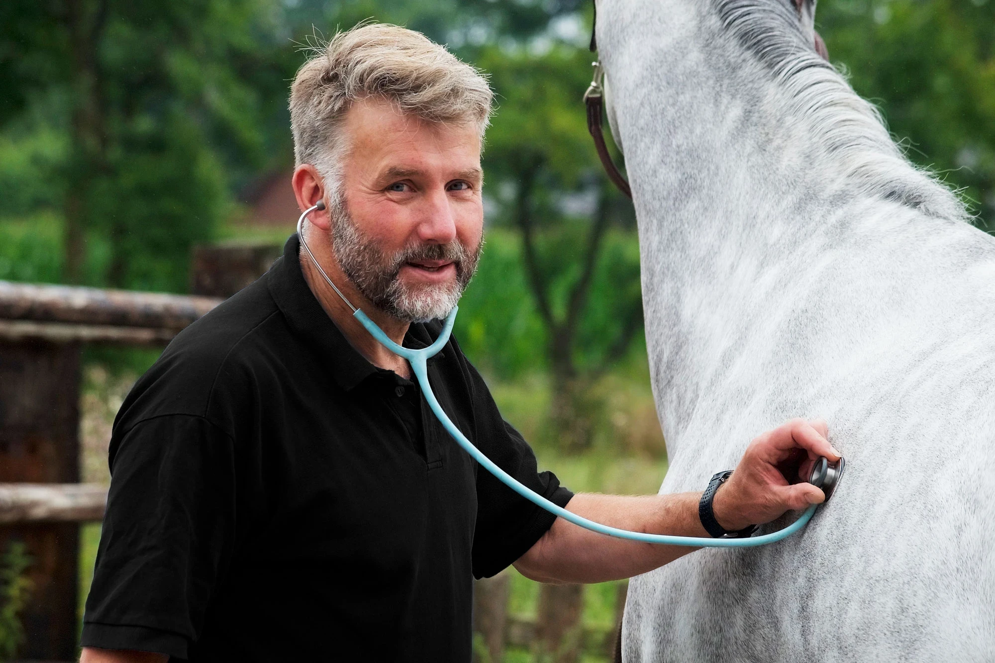 Jens Brunke, Tierarzt, untersucht ein weißes Pferd mit einem Stethoskop im Freien.